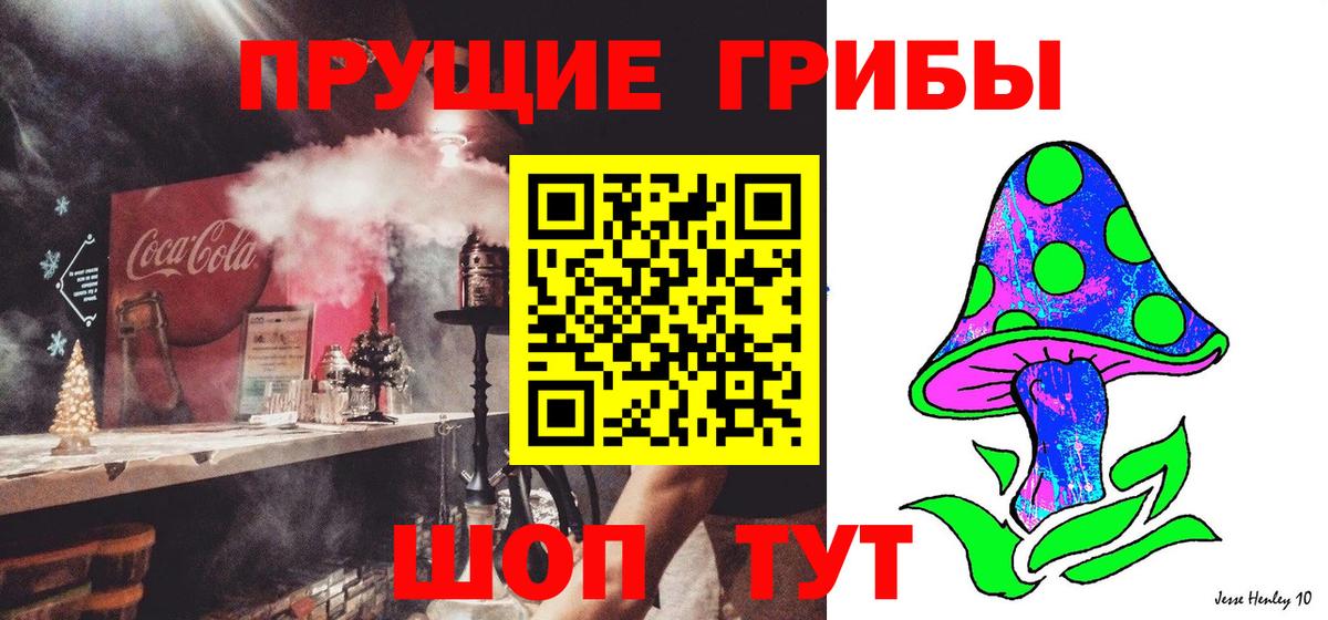 Чебаркуль  Псилоцибиновые грибы Psilocybe  Вход с VPN 