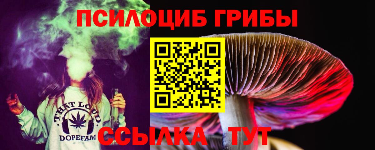 Псилоцибиновые грибы прущие грибы Чебаркуль